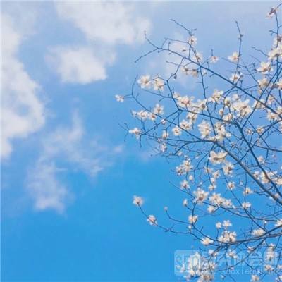 空之轨迹九游版下载